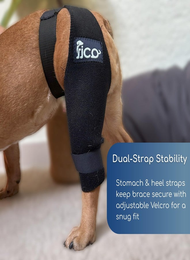 Fico Dog Knee Brace for Hind Leg Support - Left Leg, CCL ACL Brace for Dogs, Vet Approved, Adjustable Orthopedic Support for Arthritis, Ligament Injuries & Post-TPLO Surgery Recovery (X Small) - Image 3